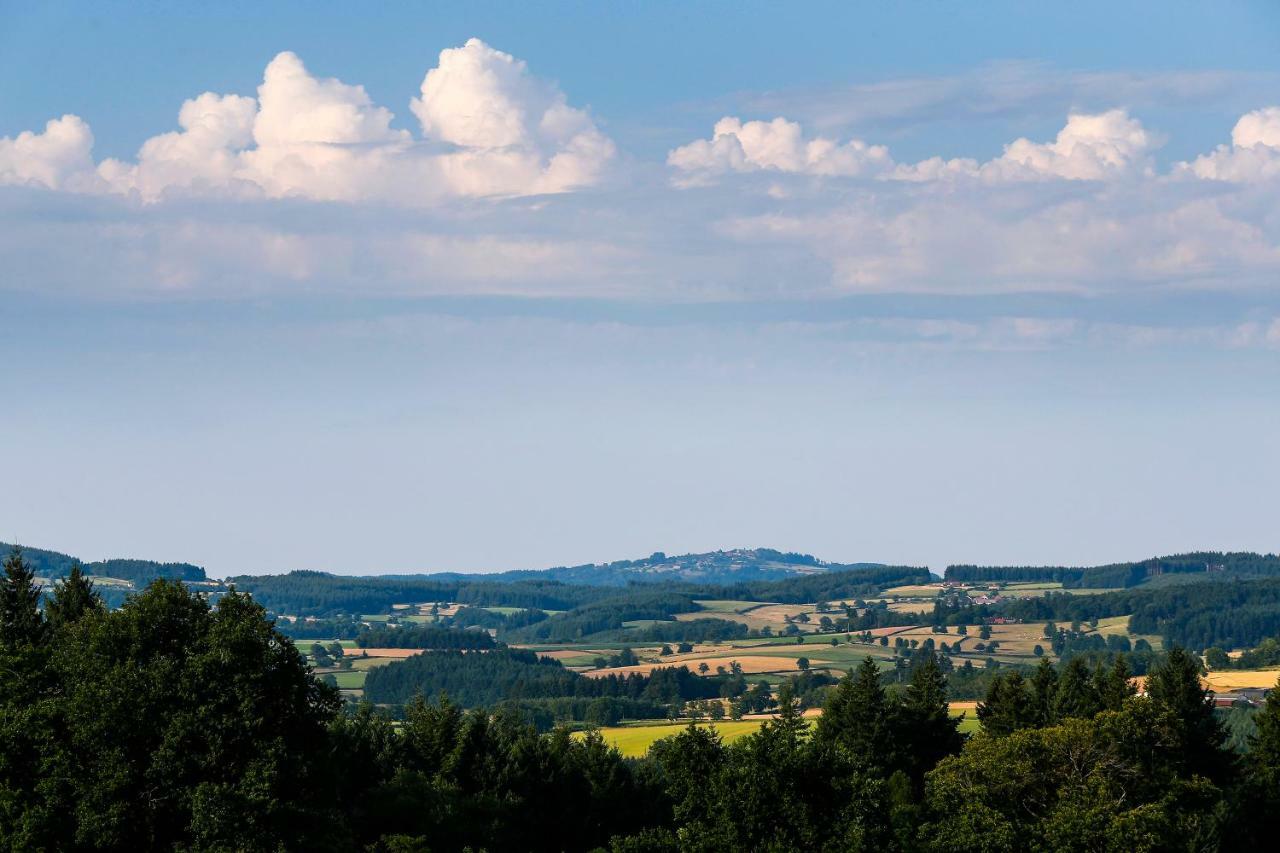 Les Perruchons Ancienne Grange Renovee Avec Soin Villa Ozolles Exterior foto