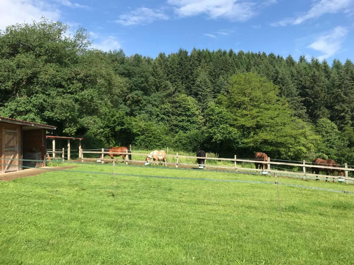 Les Perruchons Ancienne Grange Renovee Avec Soin Villa Ozolles Exterior foto